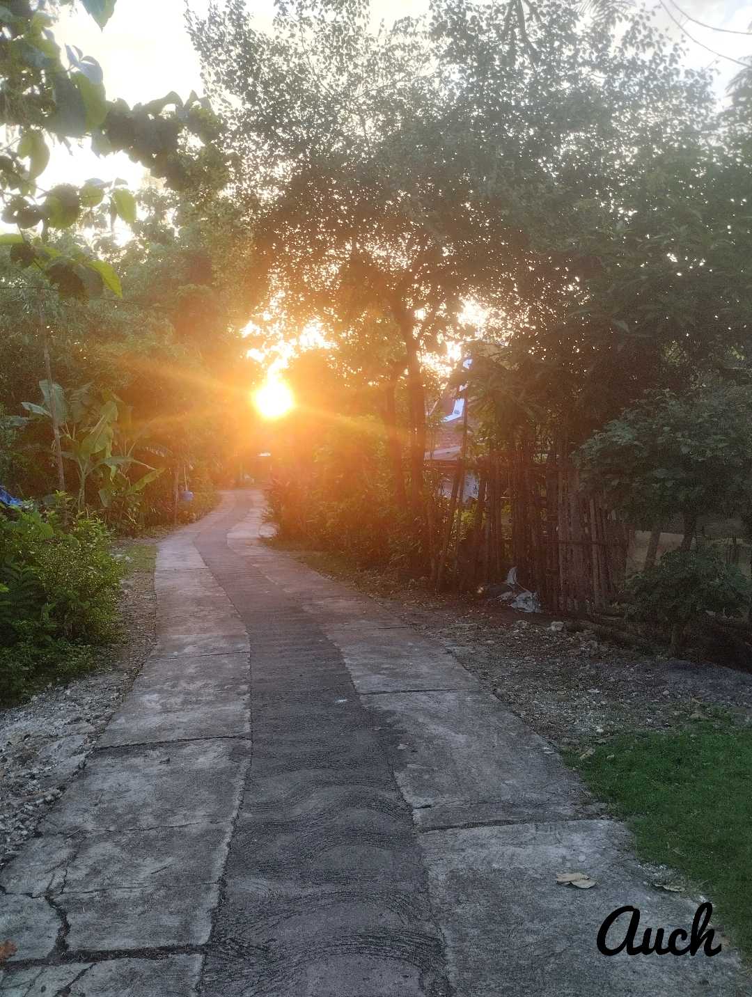 Mentari pagi
