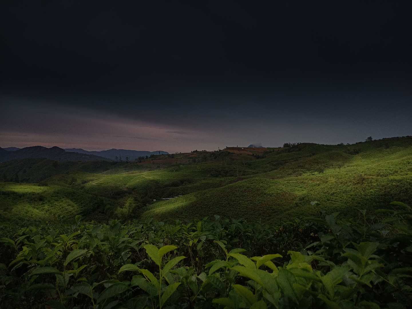 View Kebun Teh Malino