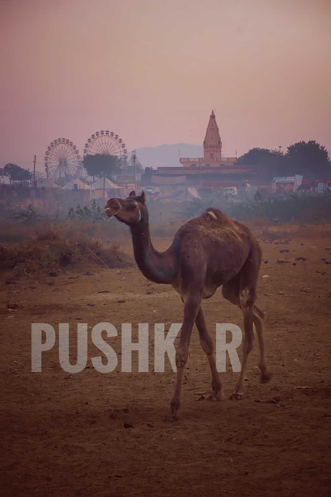 Pushkar in one frame.