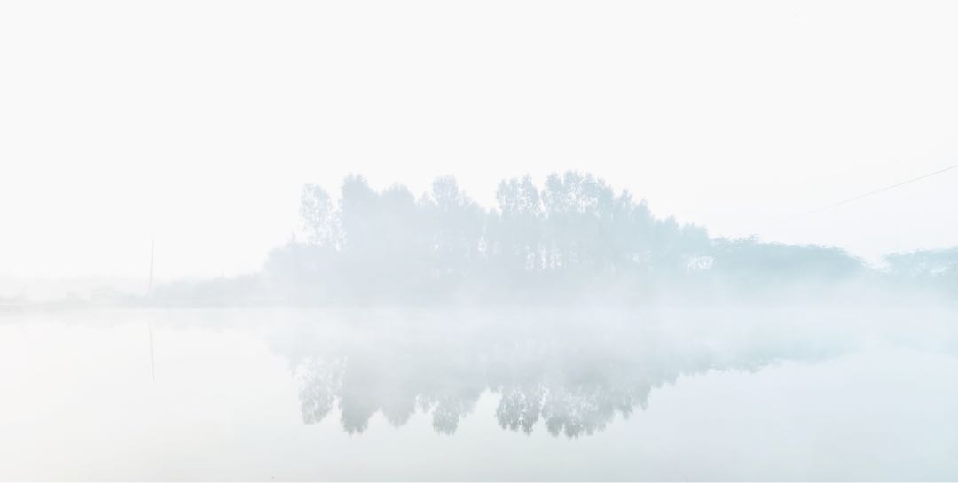 Fog Above Lake