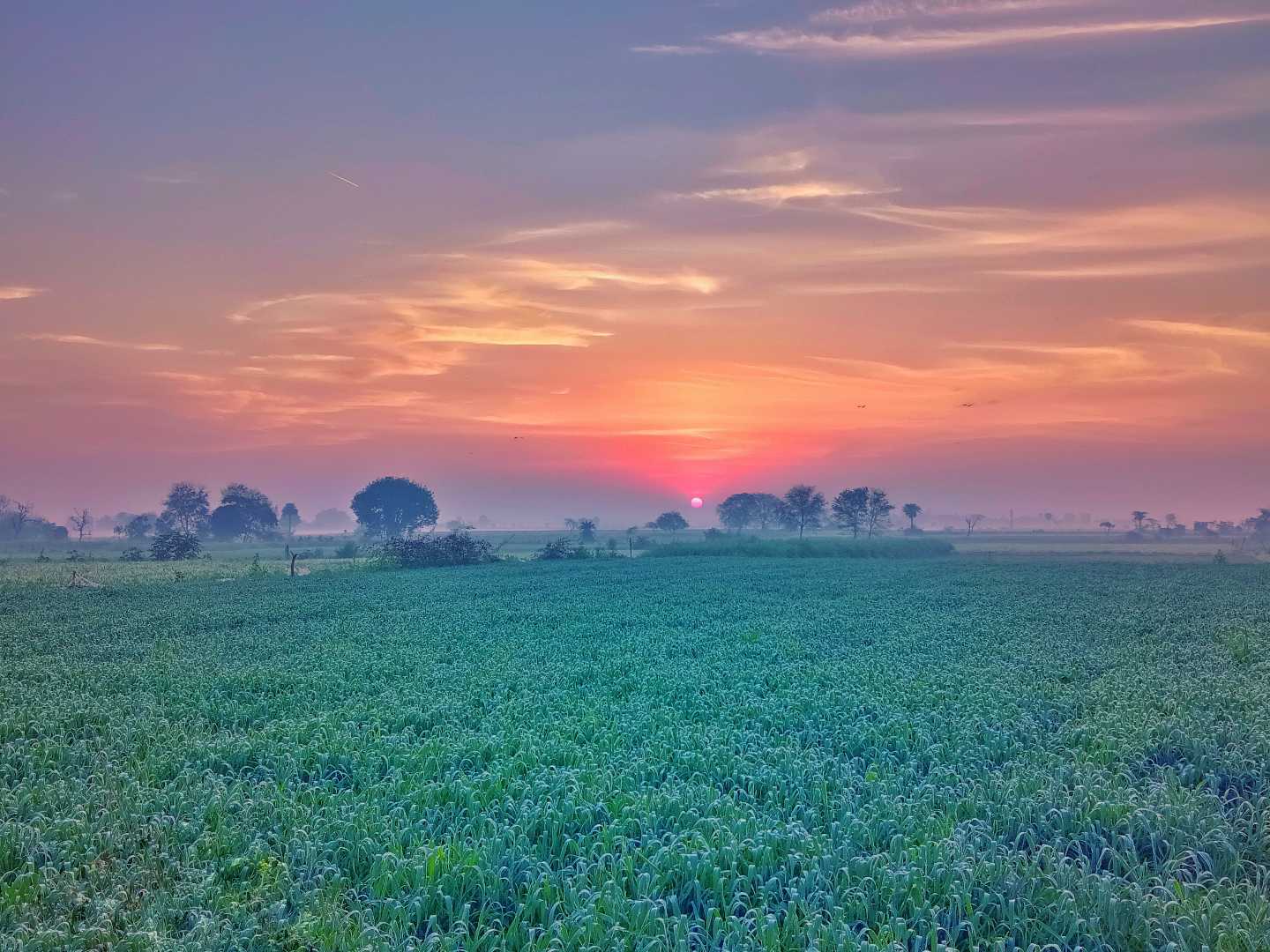Good morning 🌄