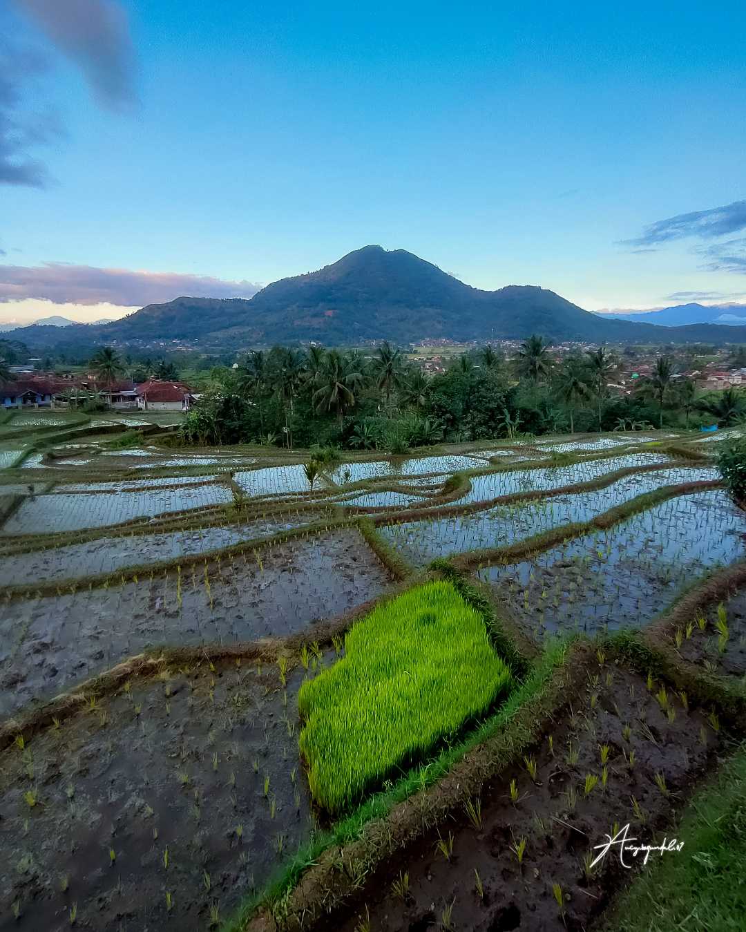 Haruman , Garut 