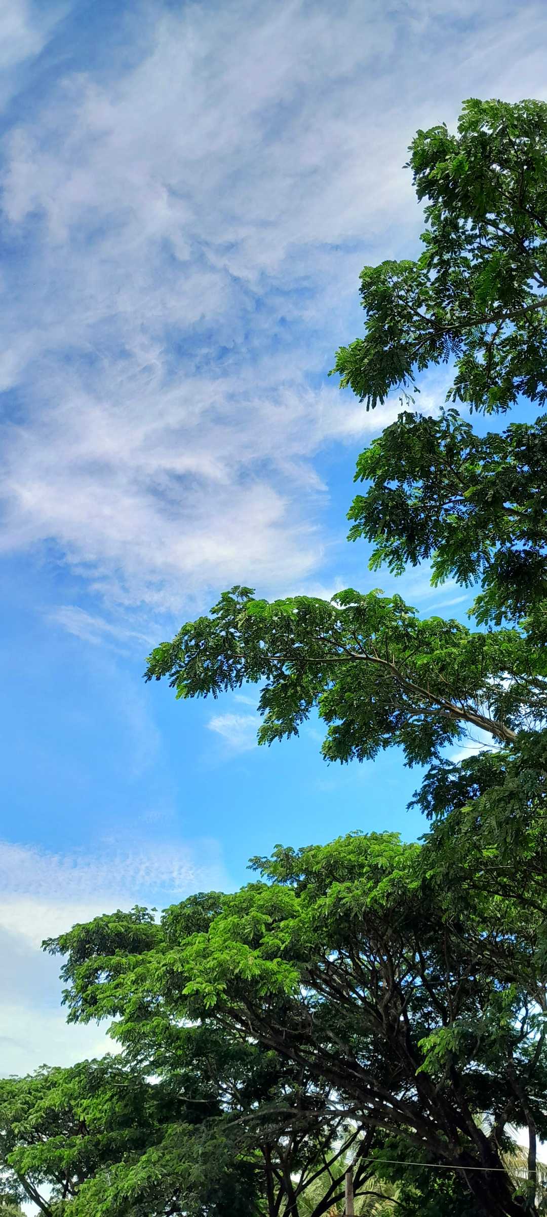 A Clear Afternoon 