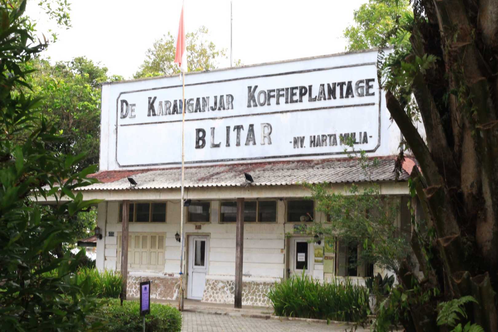 De Karanganjar Koffie Plantage