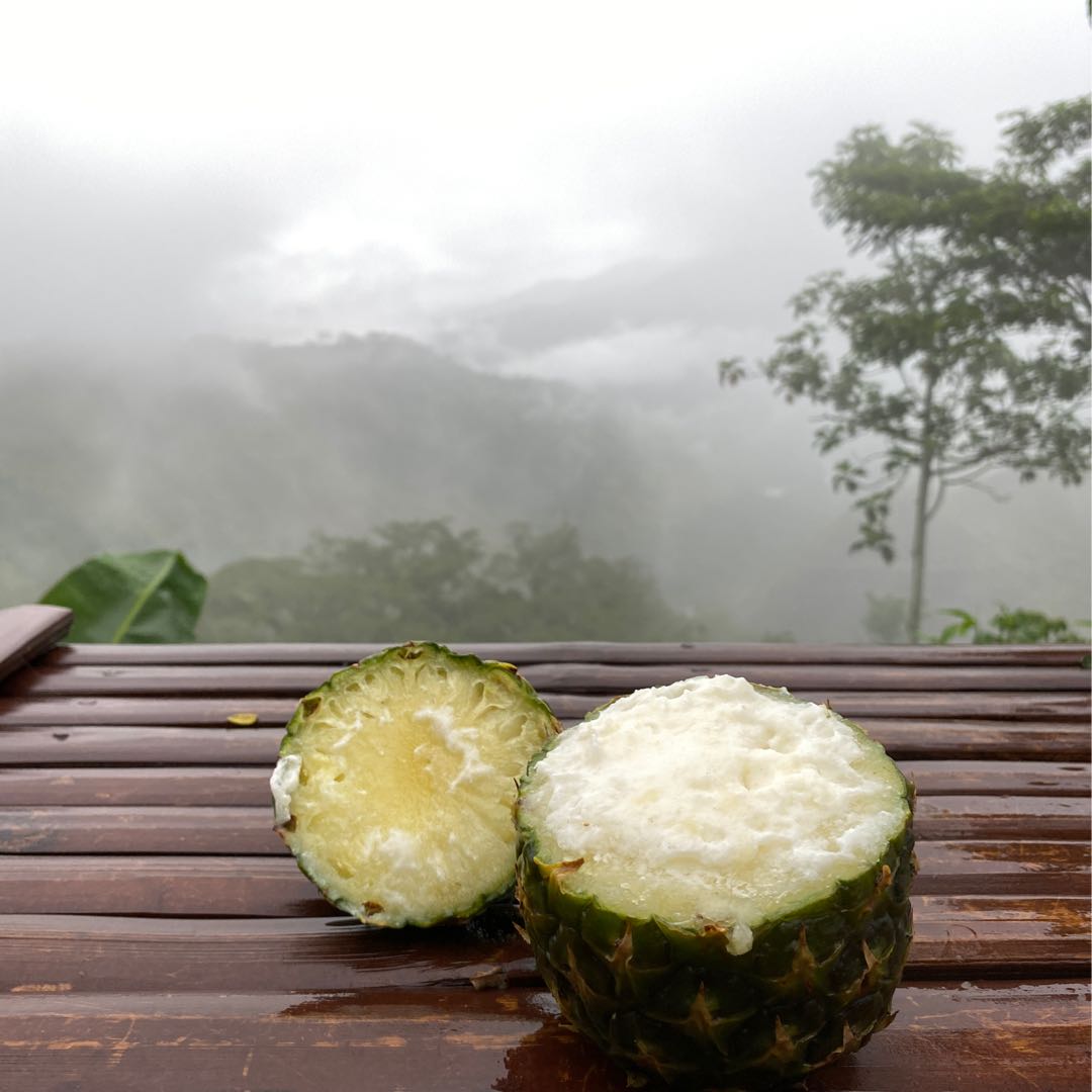 Pineapple Ice Cream
