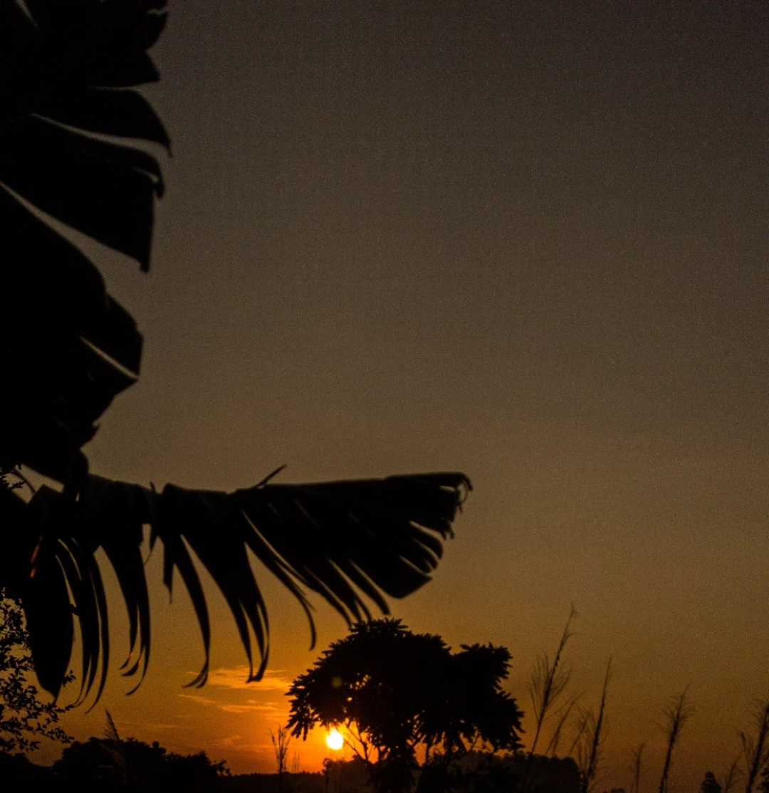Siluetas de Atardecer ☀️