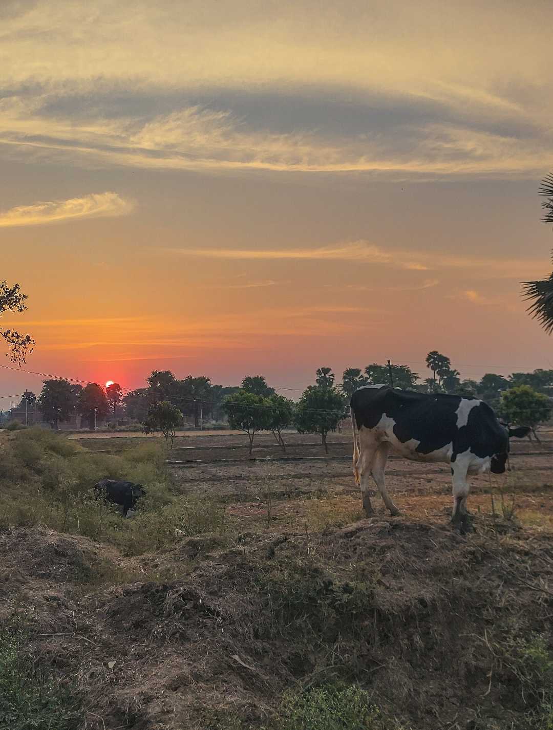 The beauty of village💚