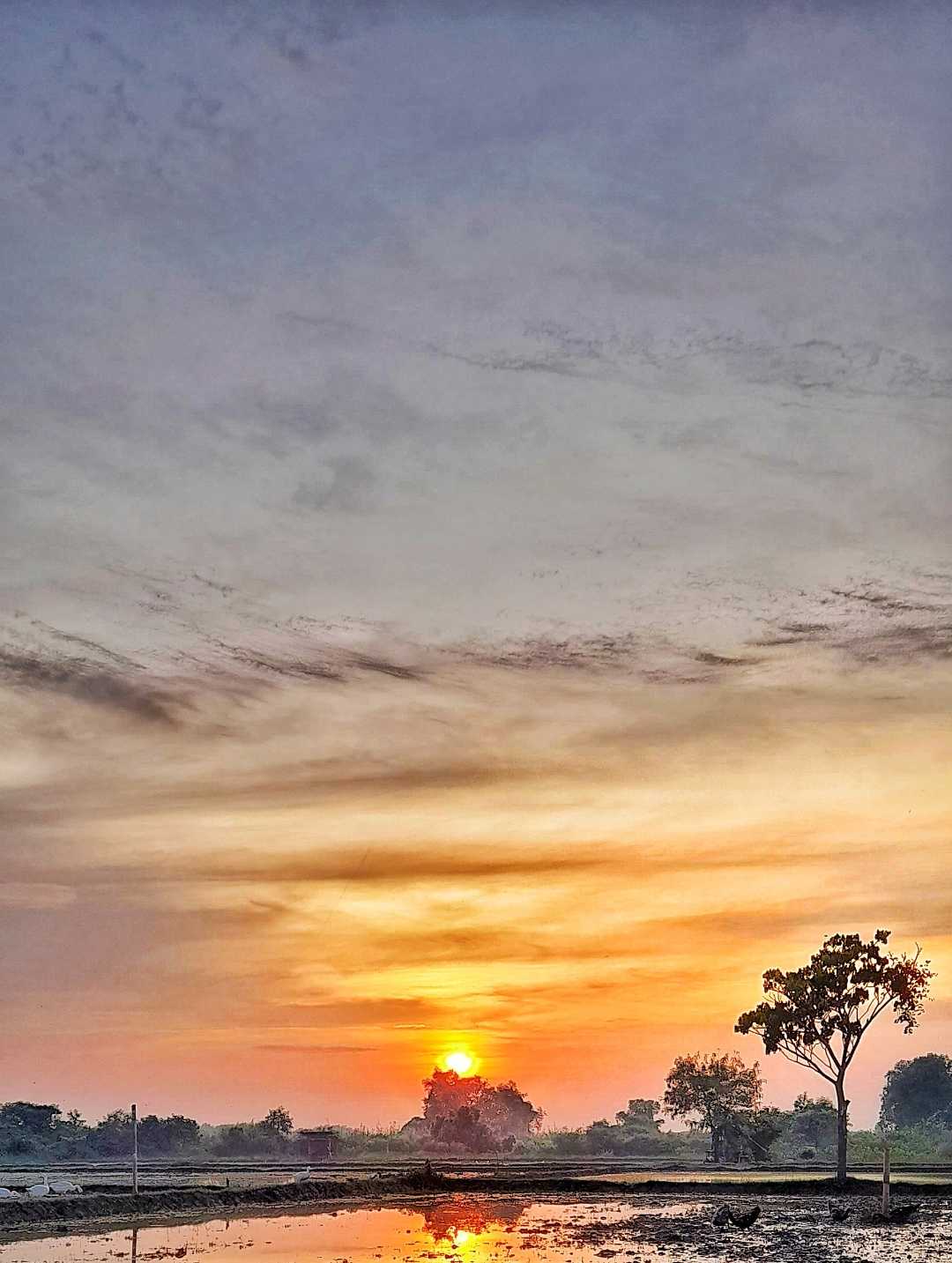 Cilamaya Karawang Jabar