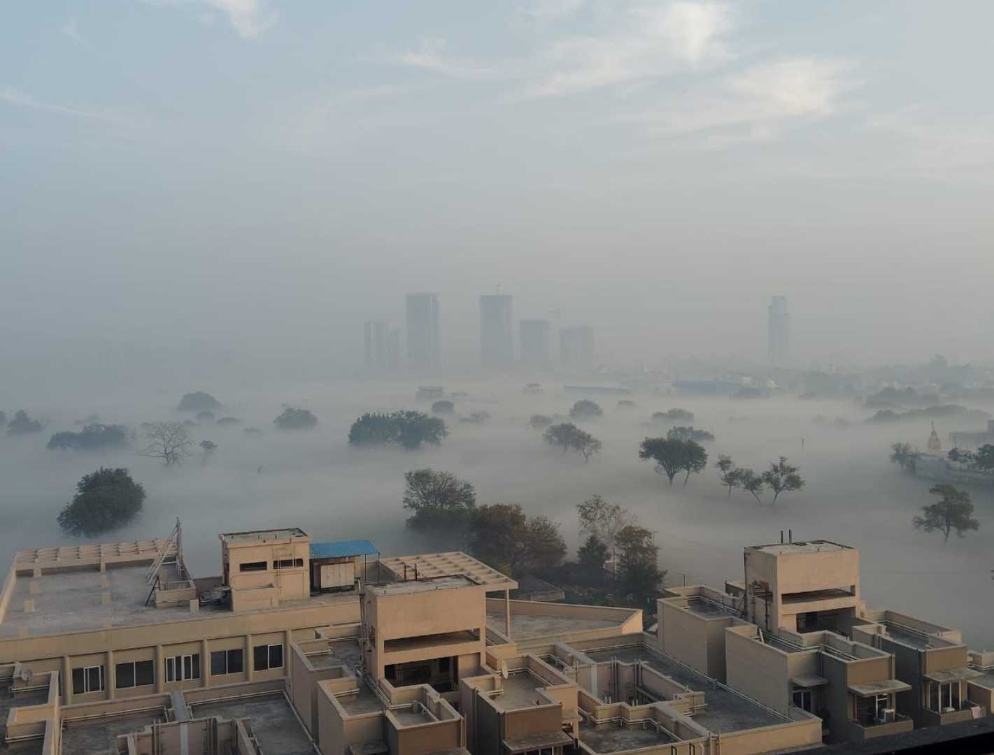 Nature at it's Best in Gurugram