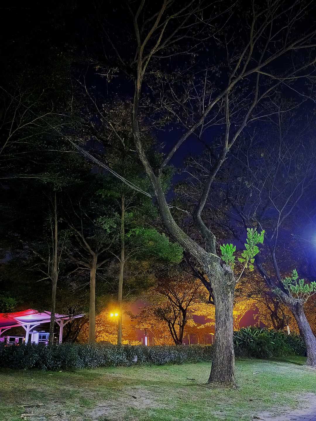 Taman Kota