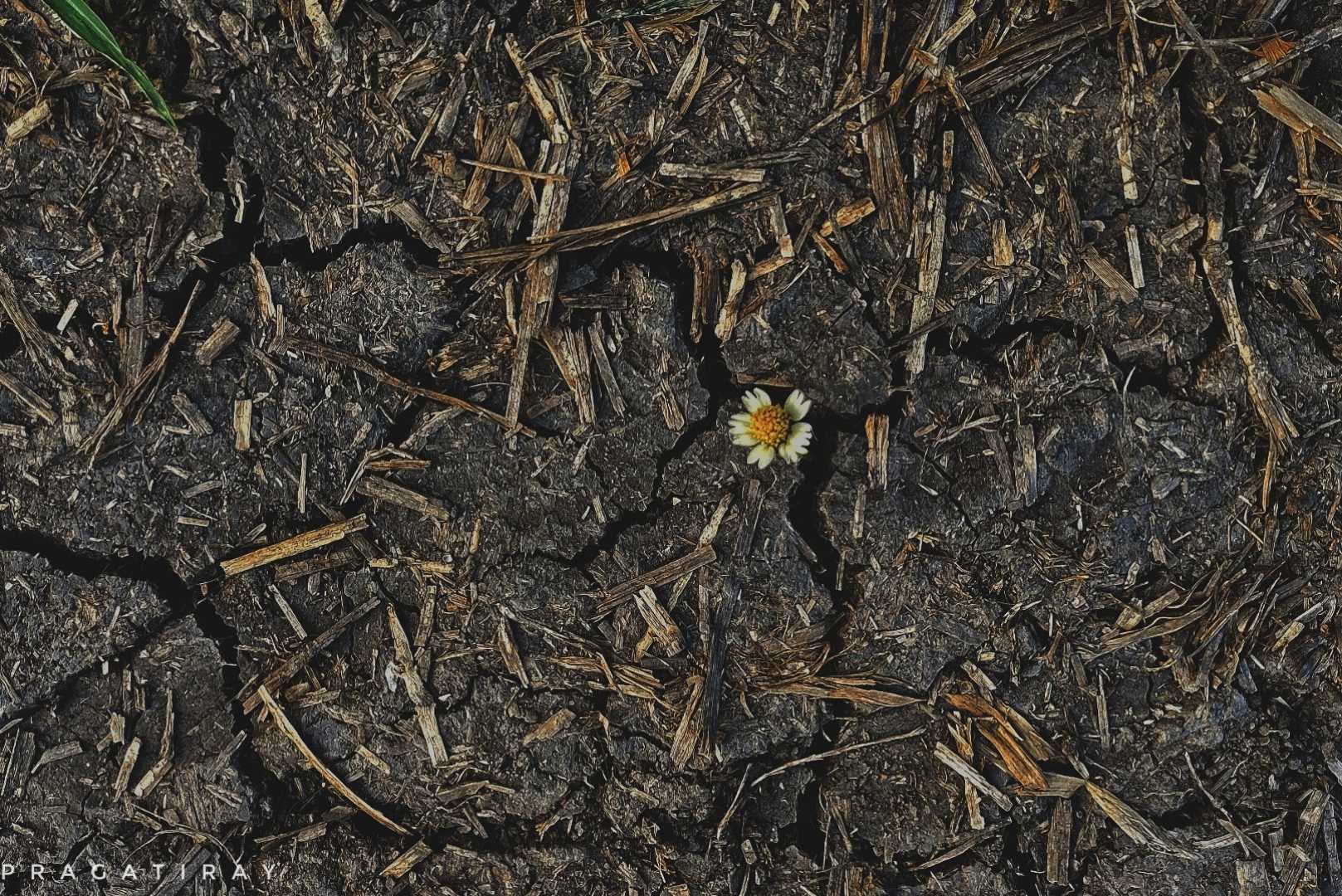 Hope 🥀