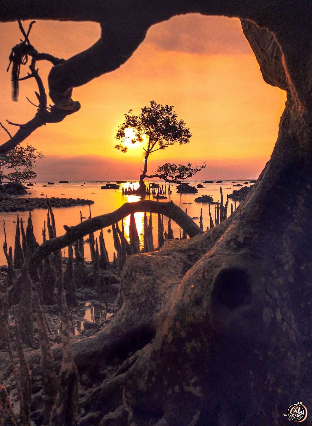 senja di pantai joko musrsodo