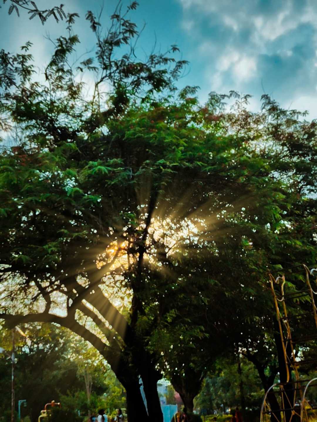 Sunrise 