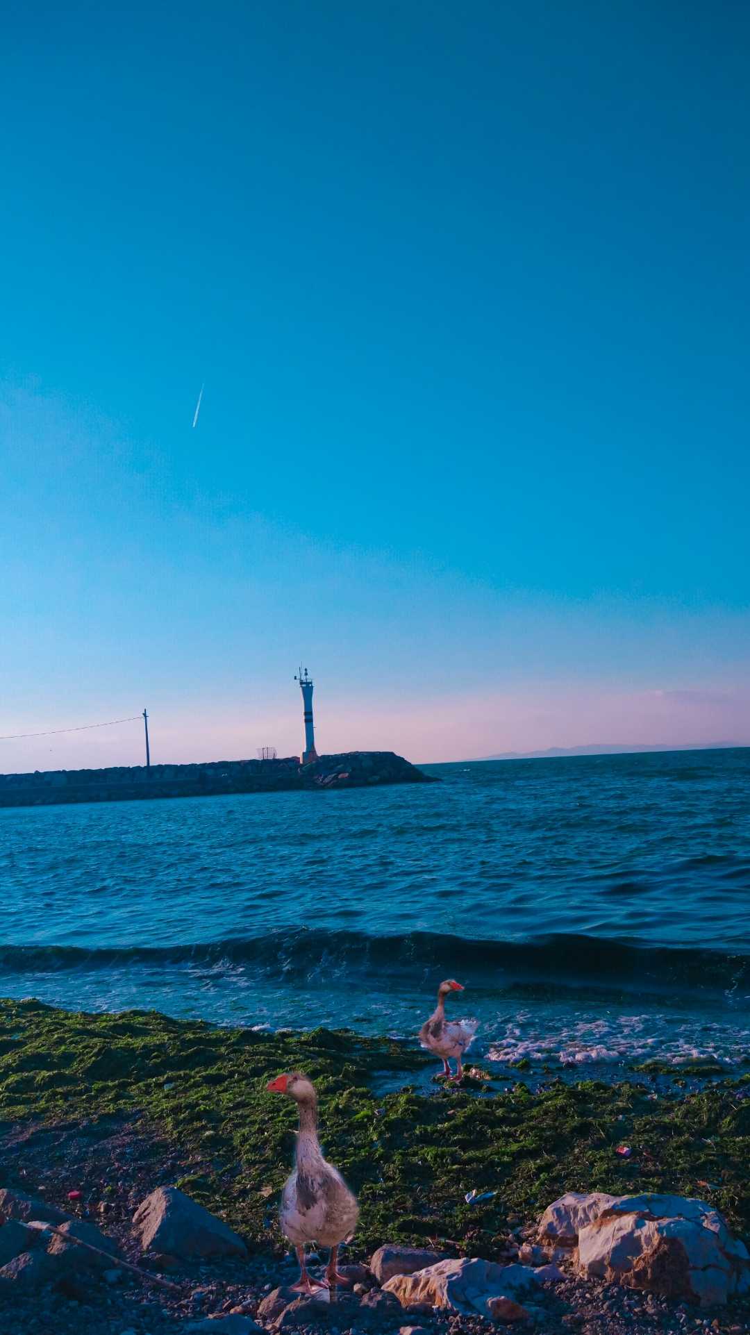 Denizi hisset🌊