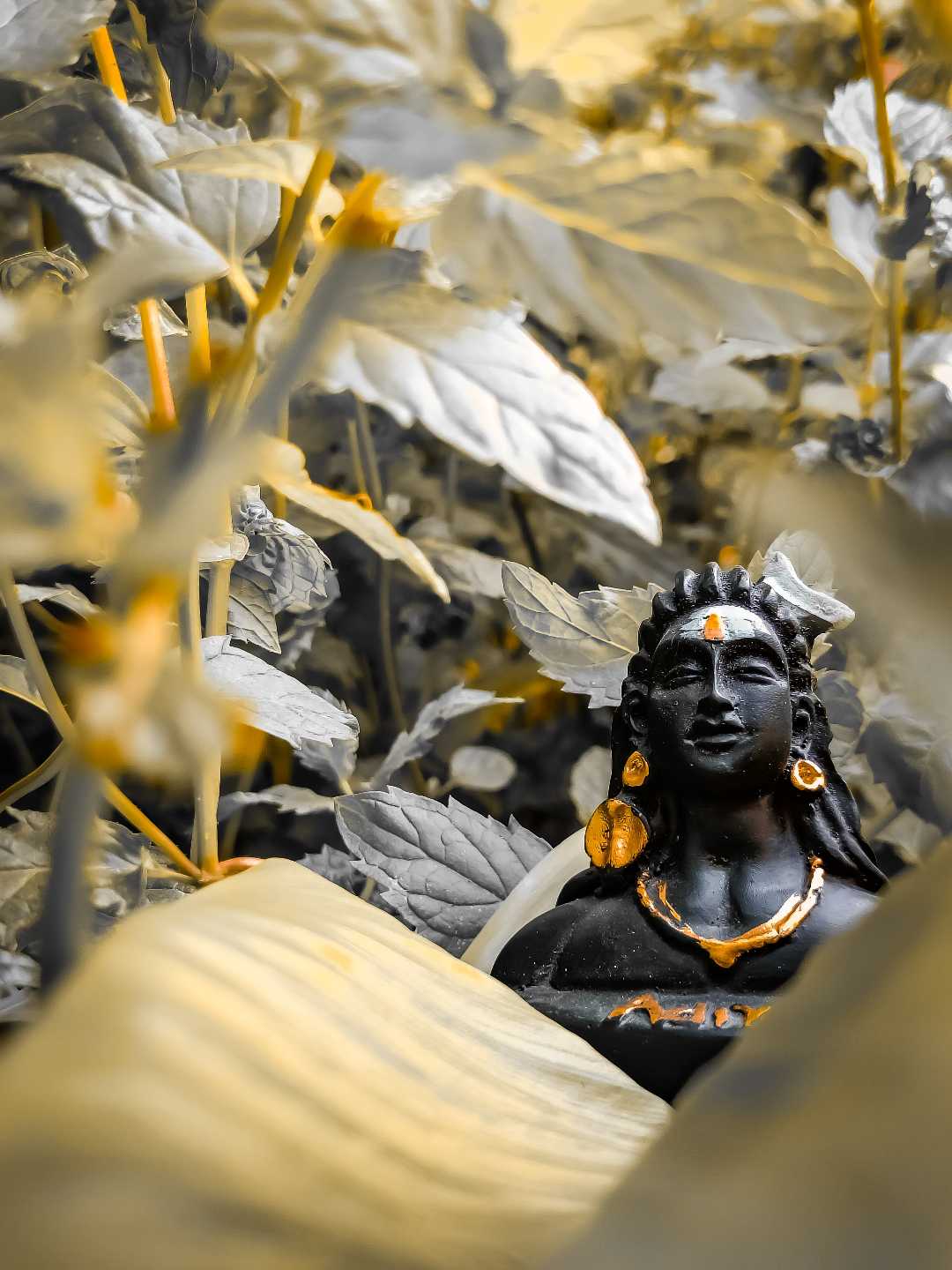 "GoD Shiv "