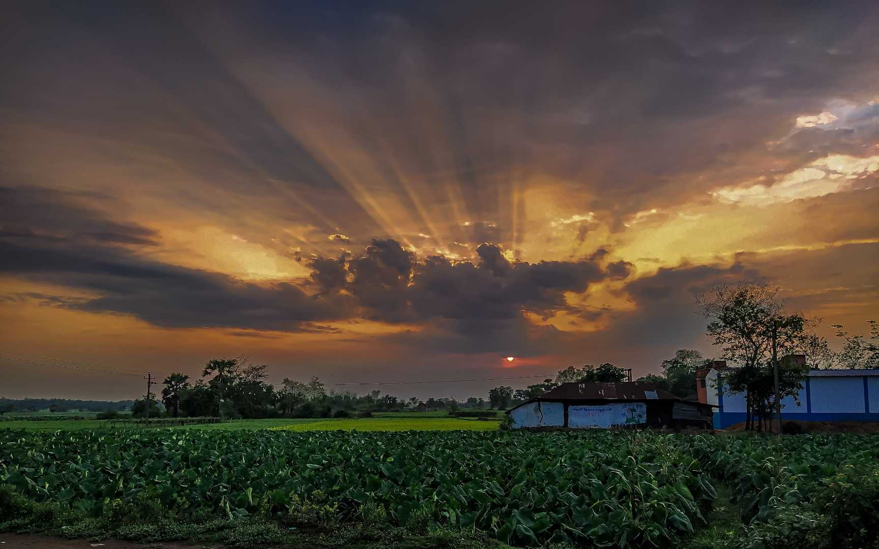 Scattering of light