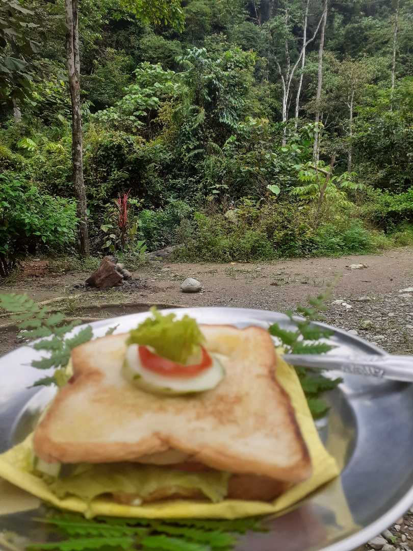 junggle food / junggle sandwich