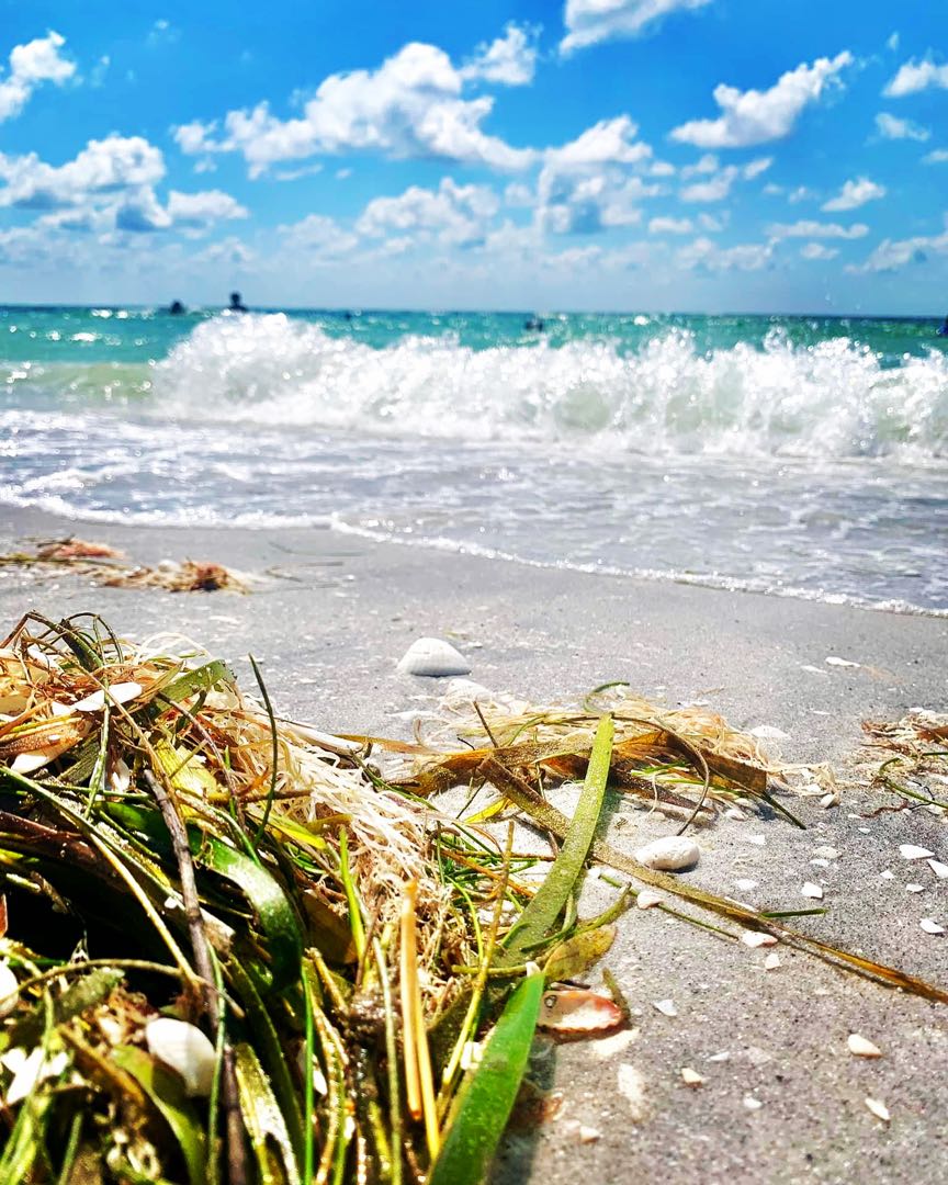 ¿A quién pertenece la isla Gasparilla?