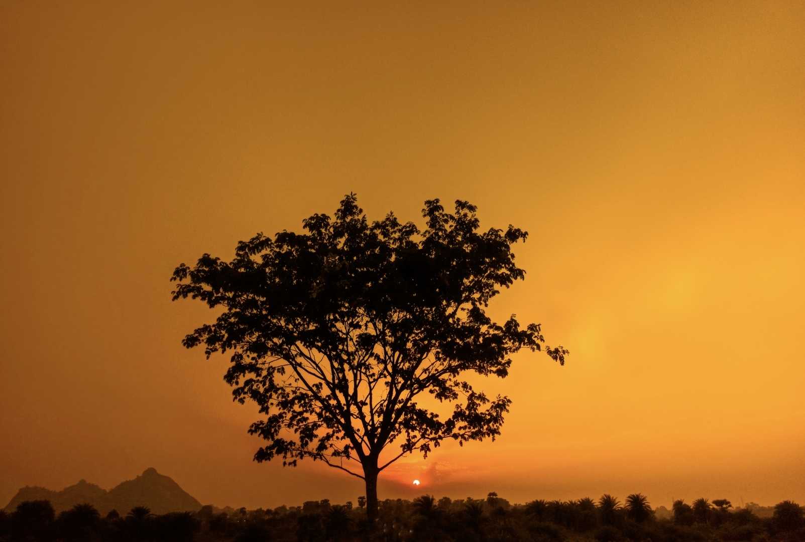 HORIZON 