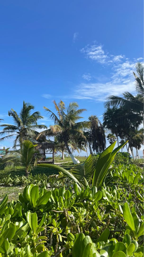 Tulum 🇲🇽