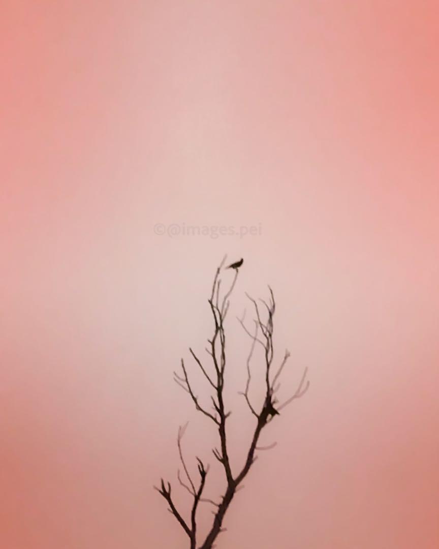 Don't feel lonely, the entire universe is inside you. - Rumi
