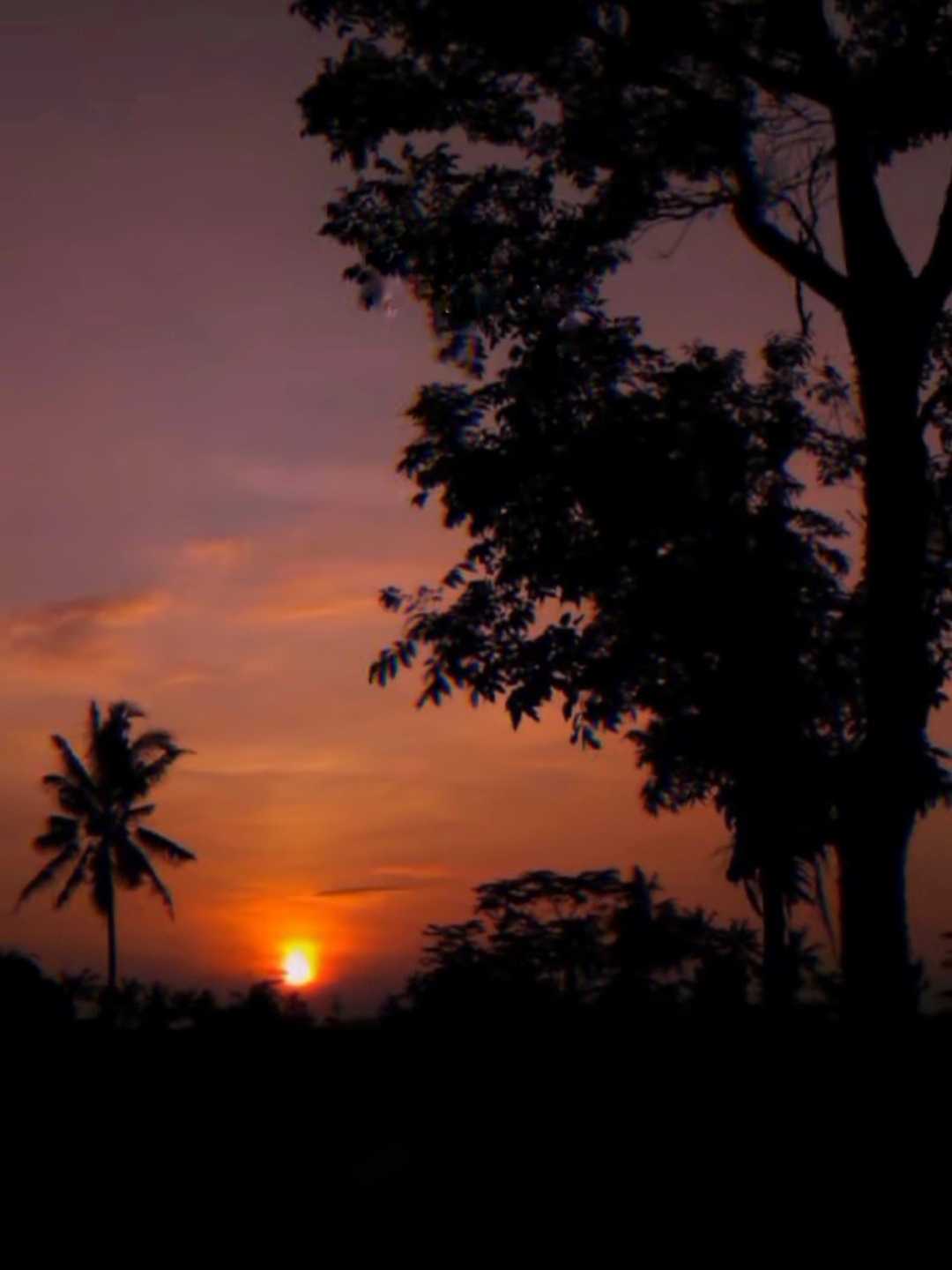 Sunset 🌅❤️