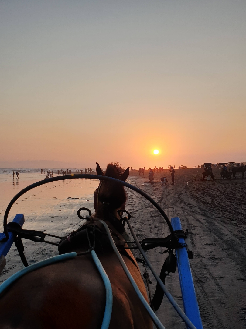 Parangtritis Beach 🧡💛🧡
