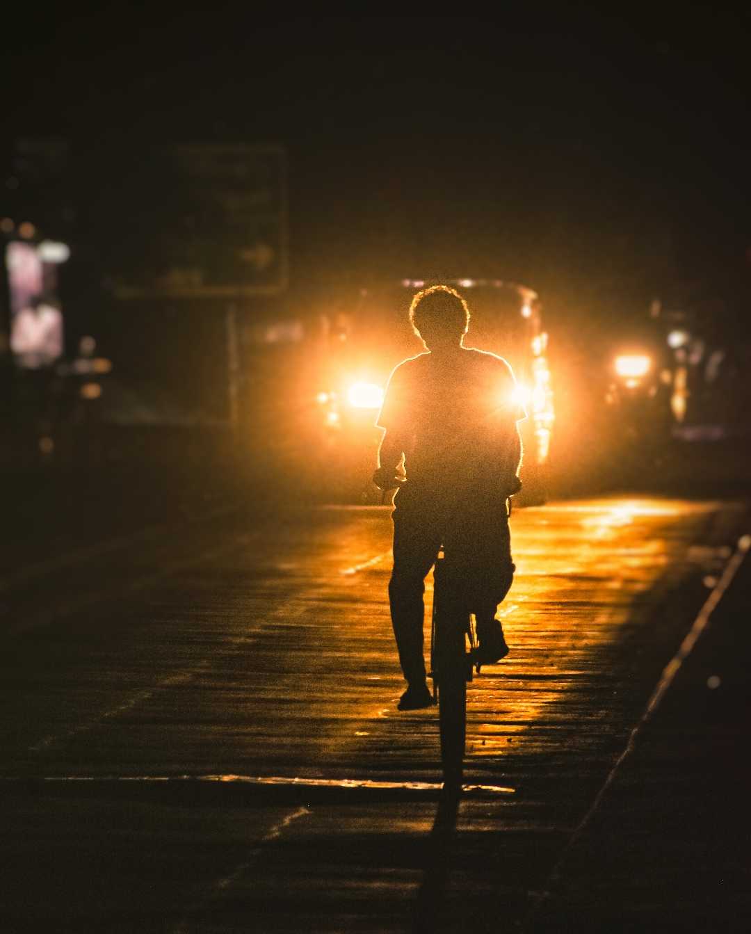 THE NIGHT RIDER