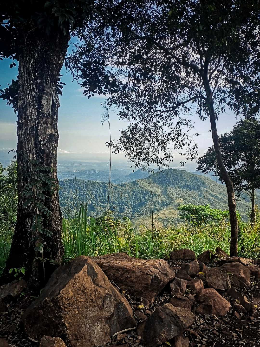 Bukit MANJAI dari kejauhan 