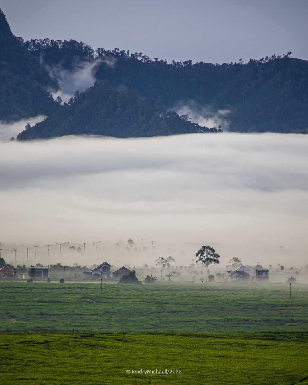 kabut pagi 