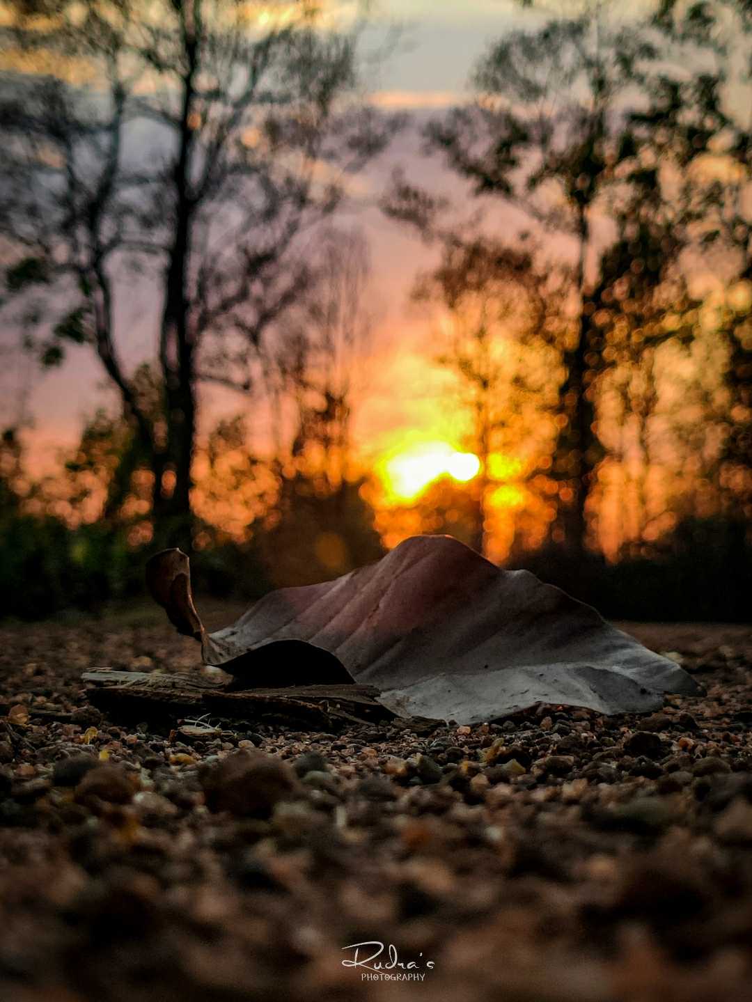 Your light is more mignificent than sunrise or sunset.