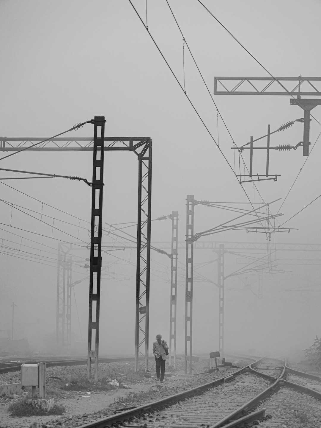Foggy morning 