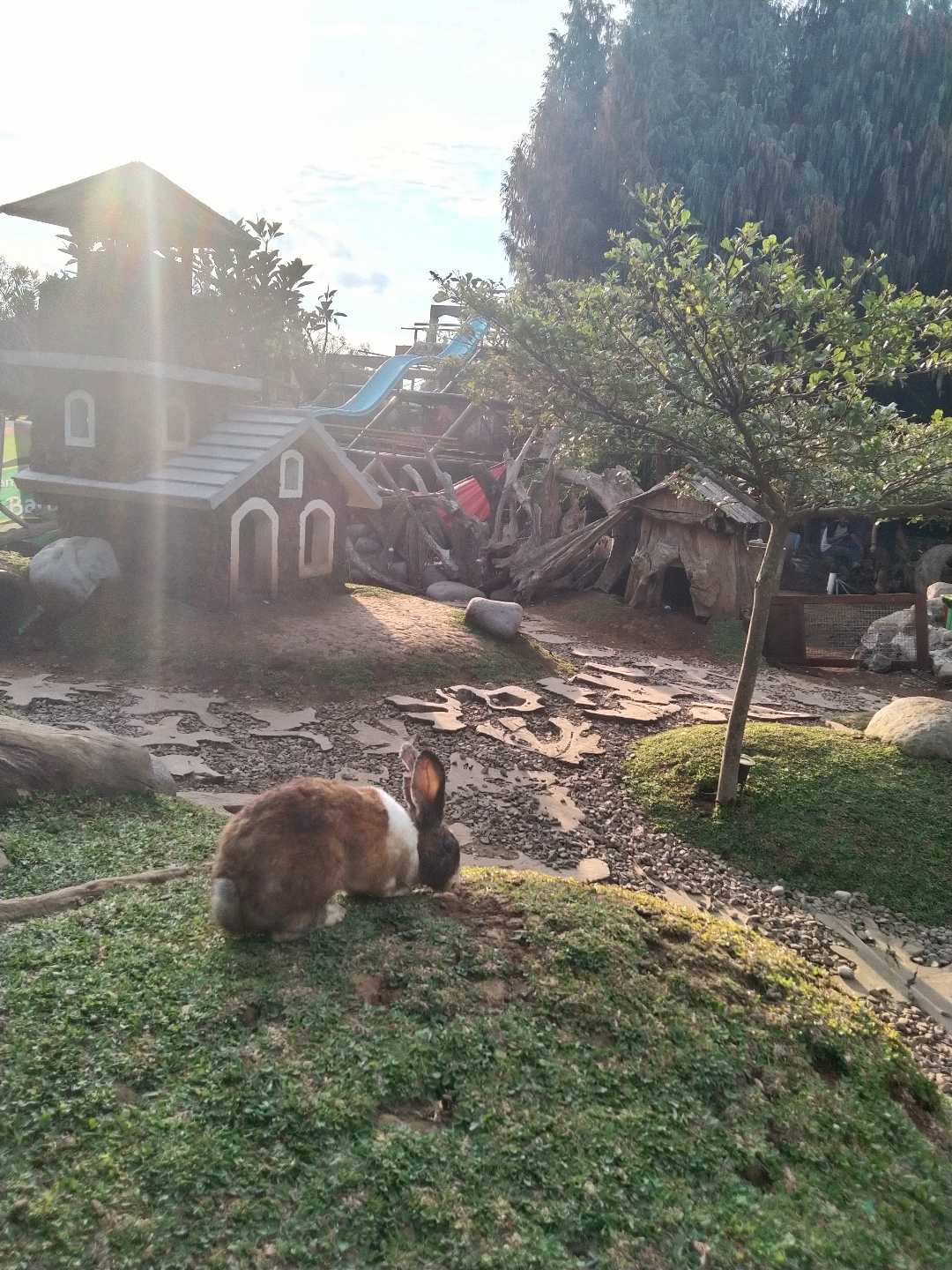 Farm House Susu Lembang 