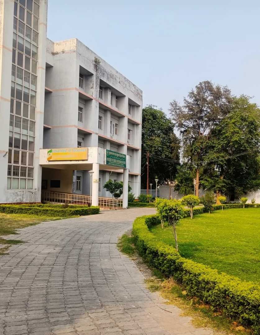 Department of sociology