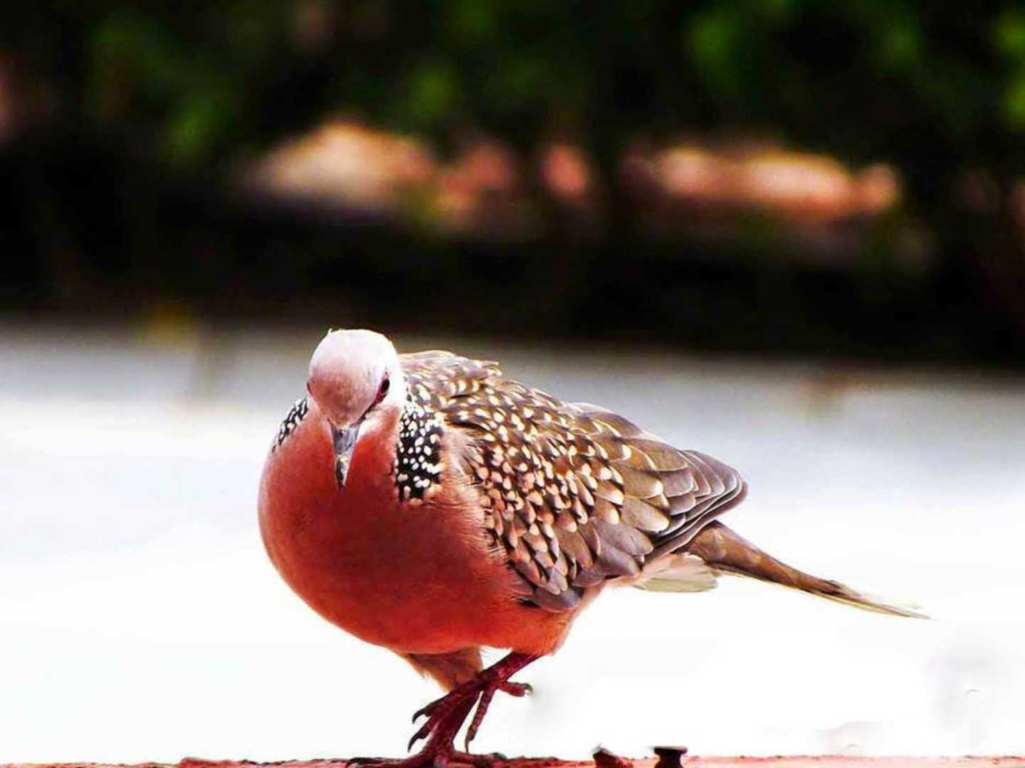 nature is beautiful 🤩