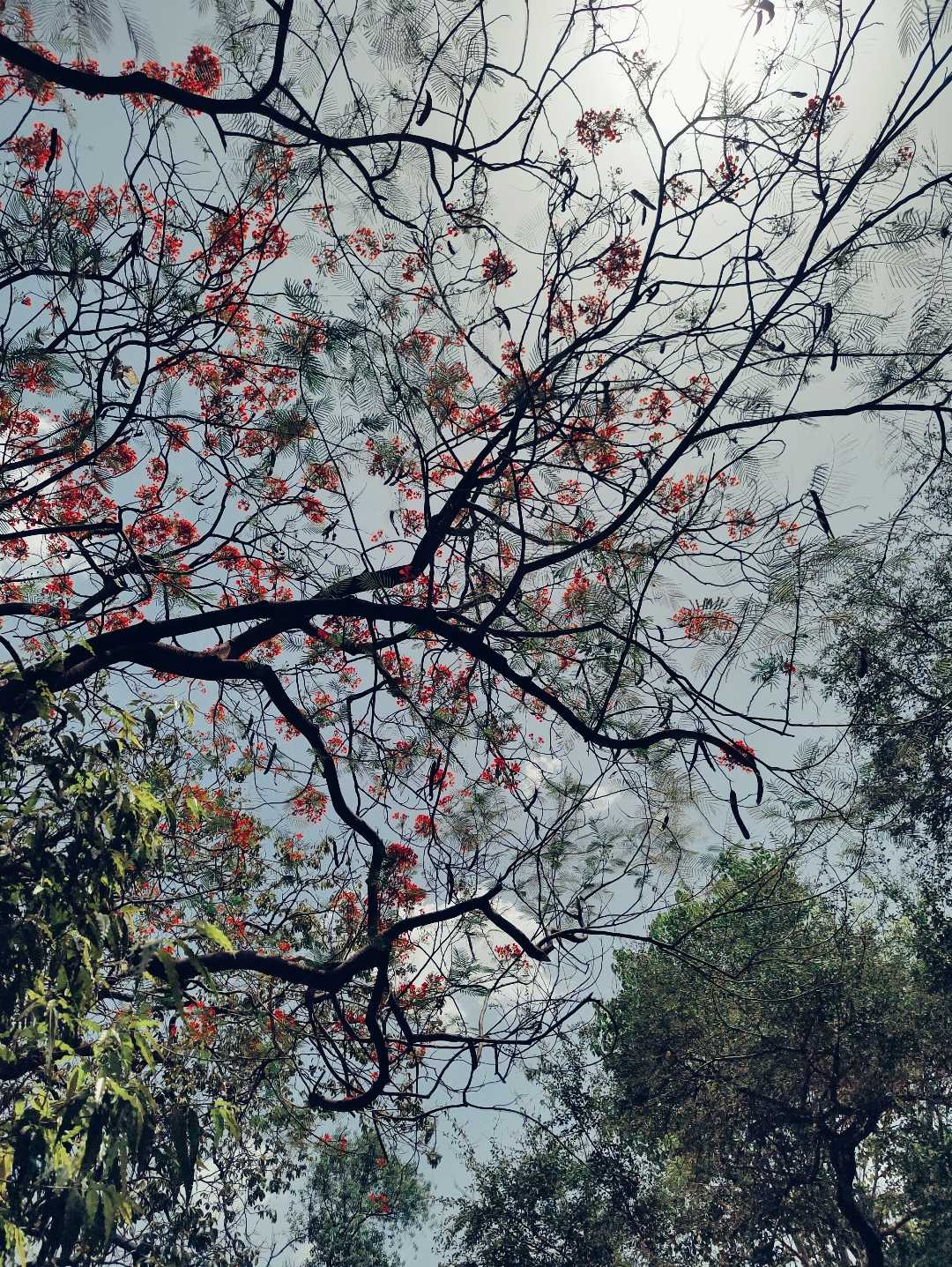 Go with the flow of nature😌💫