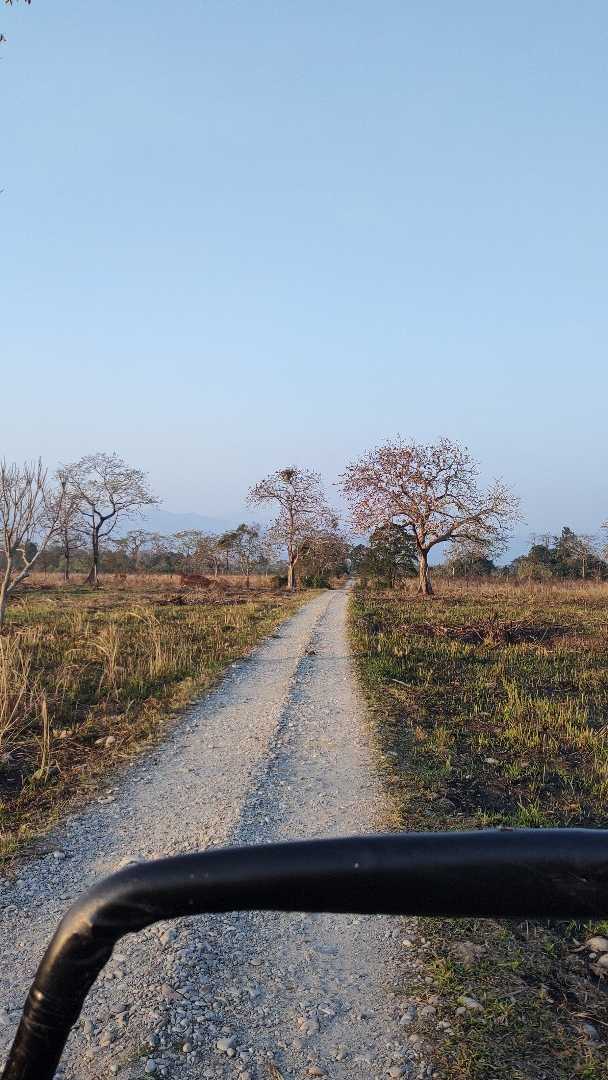 Jeep Safari through Manas