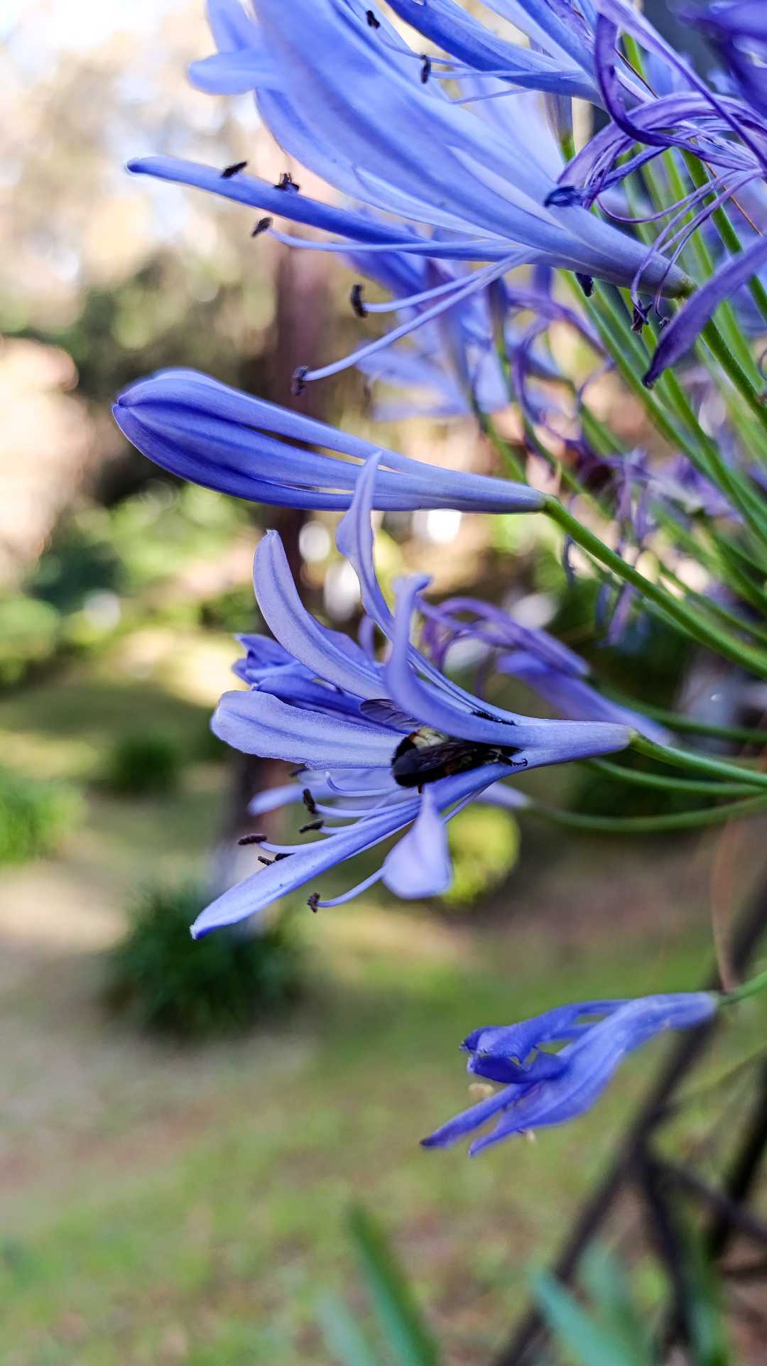 La primavera está cerca