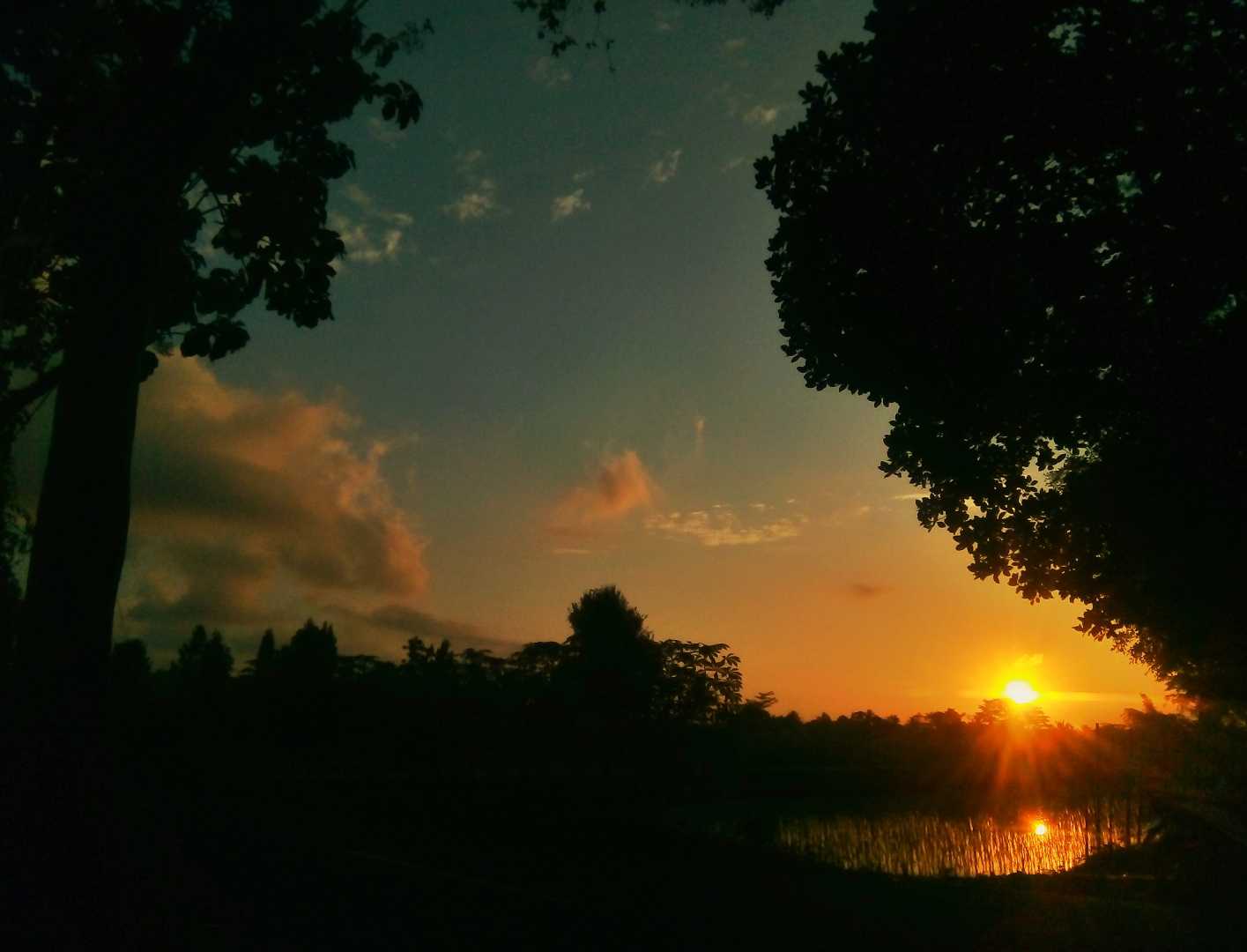 Mr. Sun is Coming