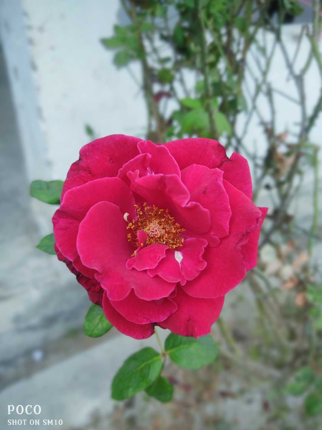 Good morning❣️