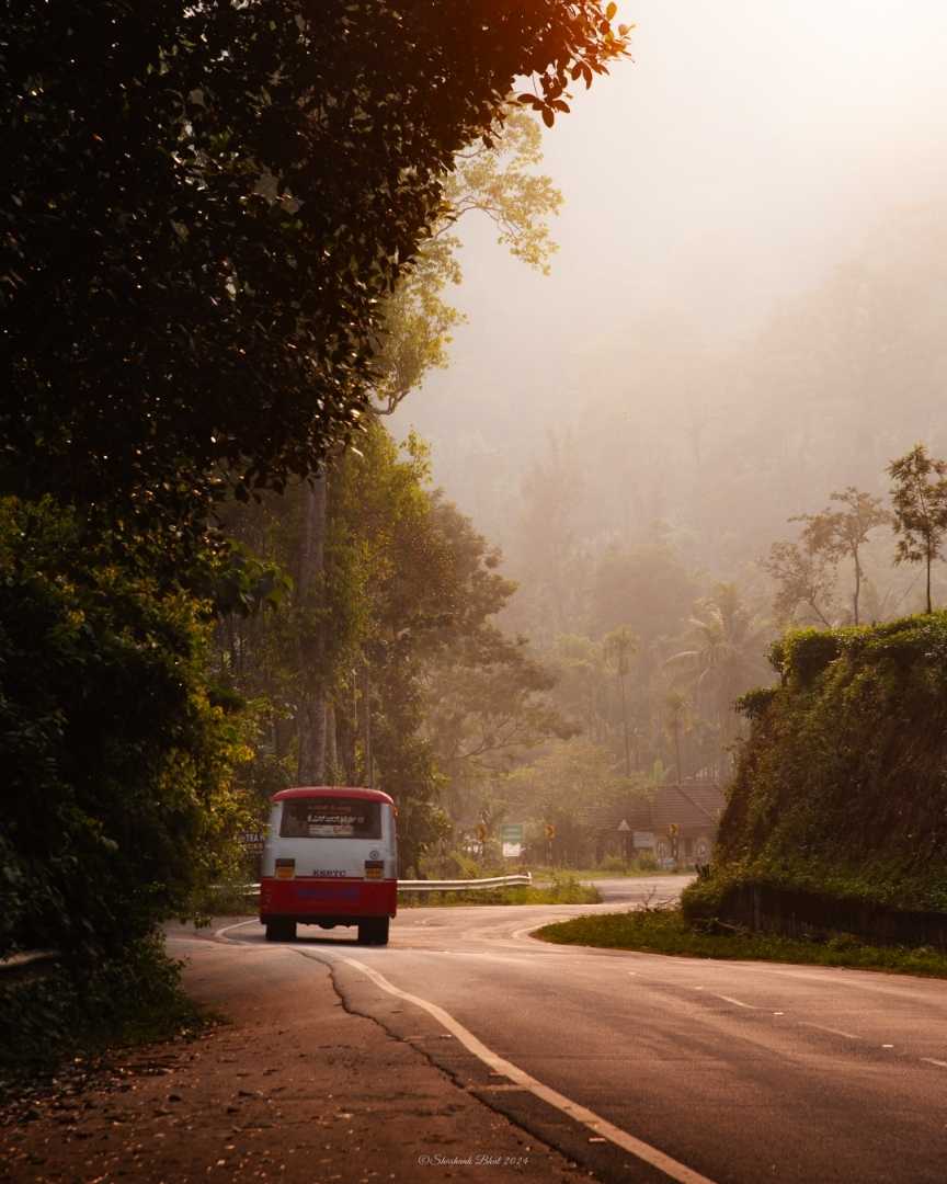 Journey To Foggy Western Ghats and Scenic Coffee plantation