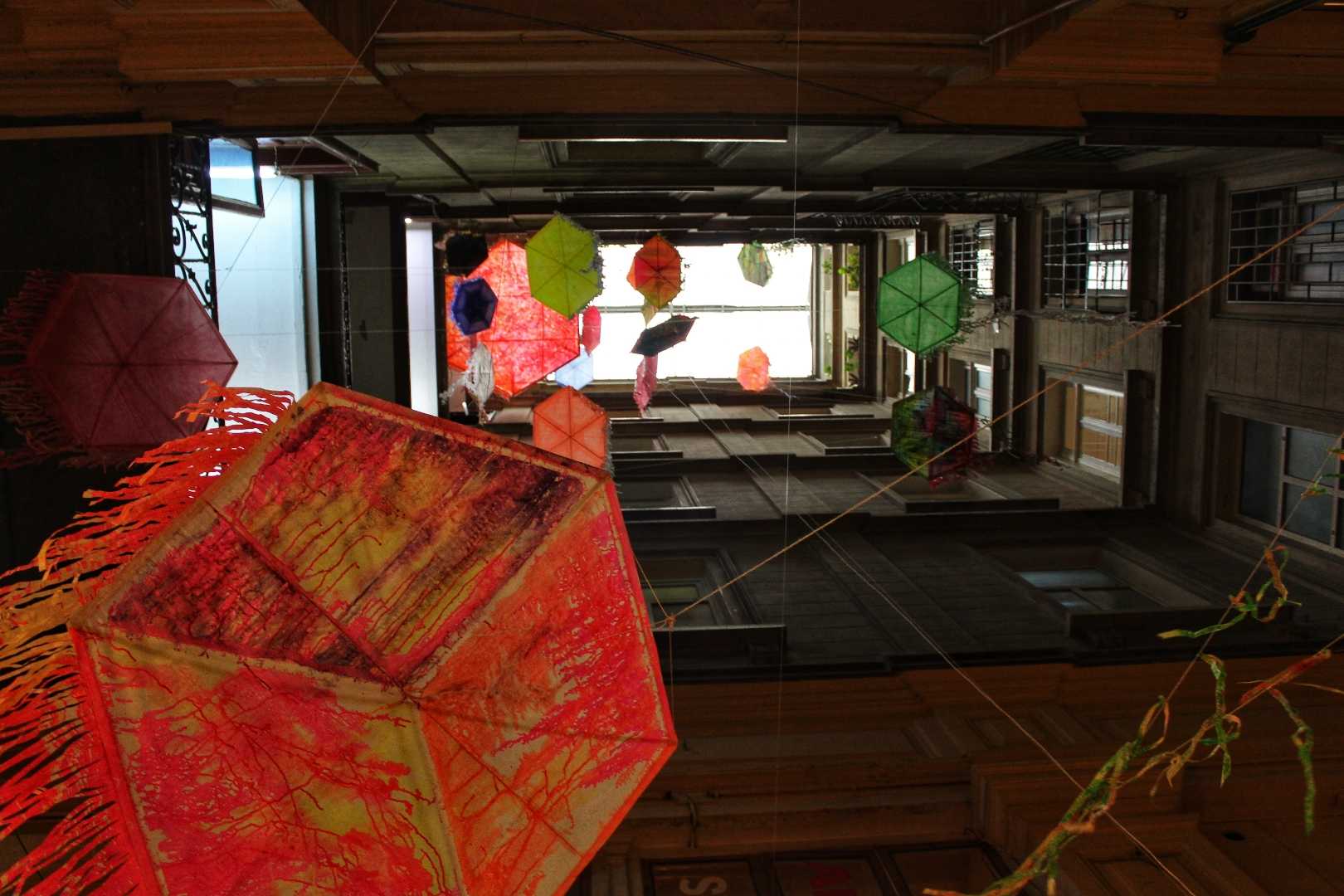 kites