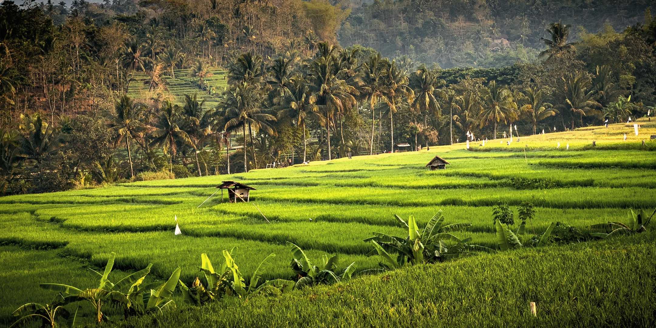 Beautiful Panorama