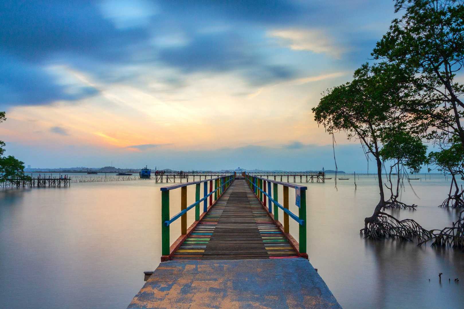 the bridge