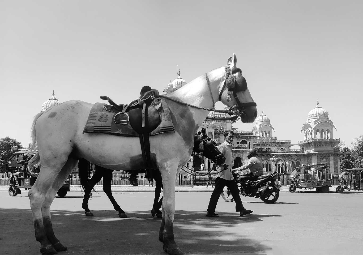 Horse riding