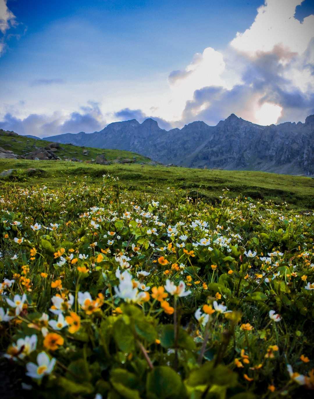 Tarsar marsar trek