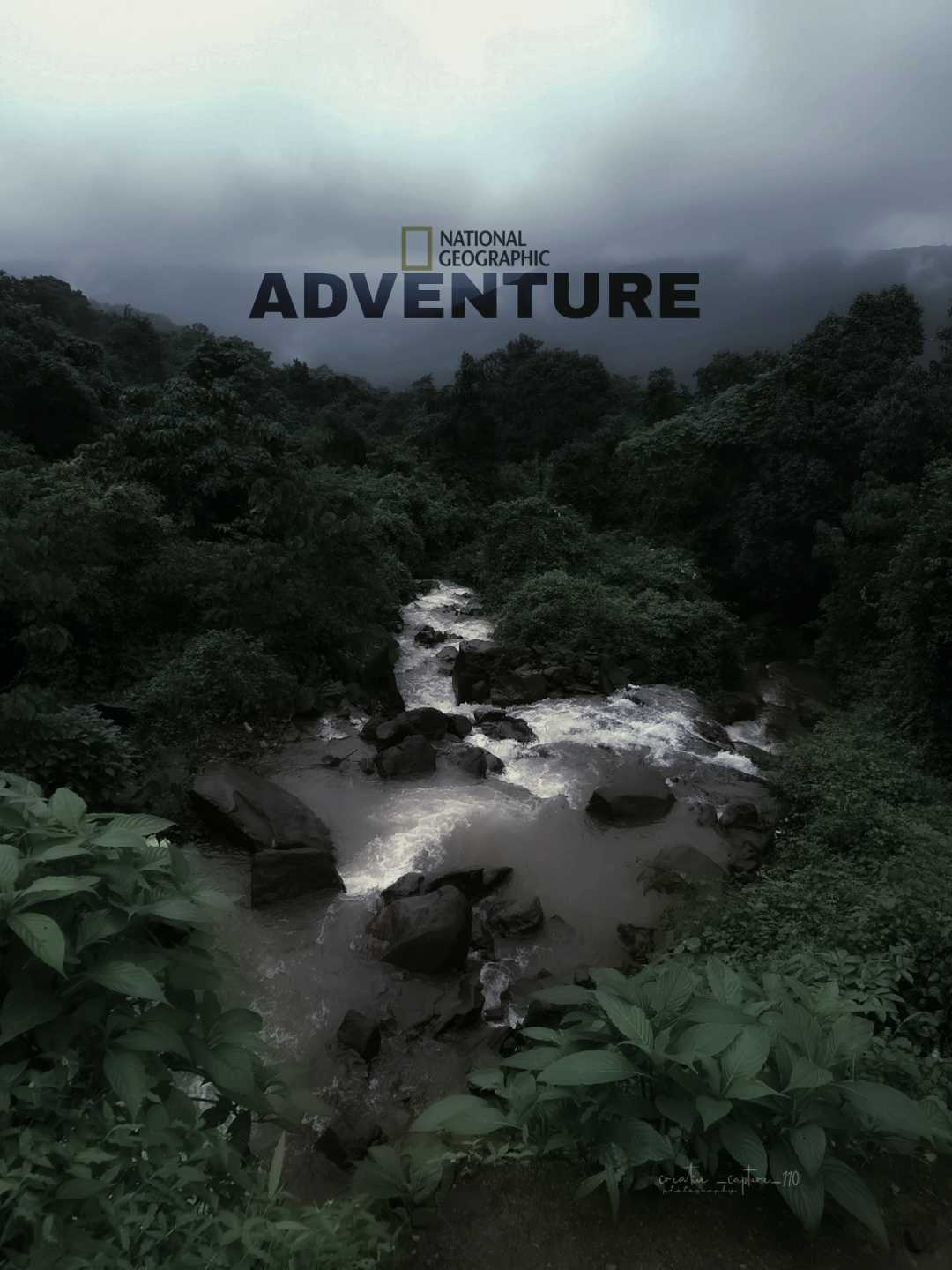 Nature 
