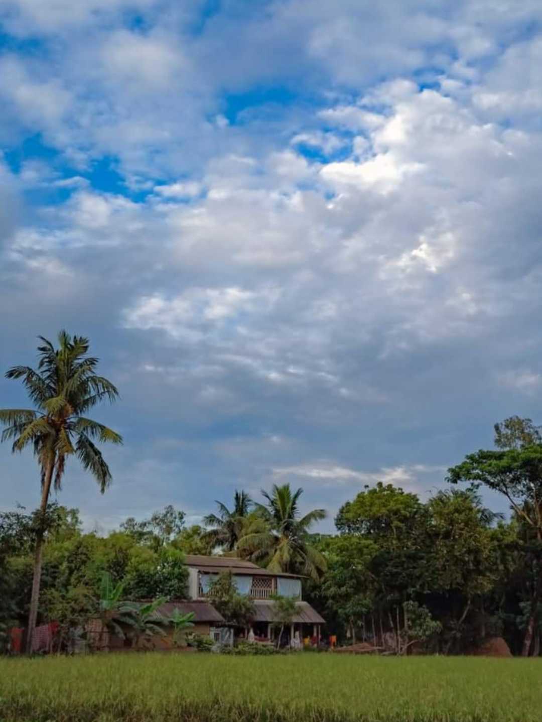 beauty of Bengal 🌿💚💙