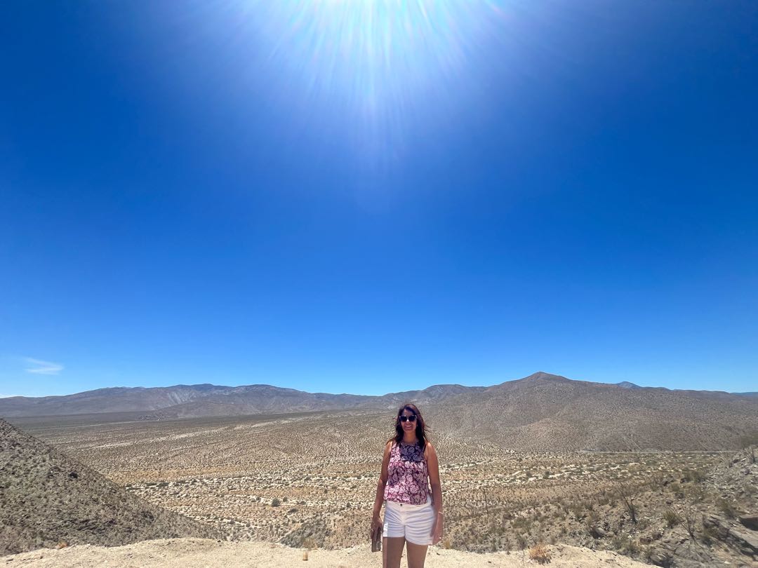 desierto 🌵
