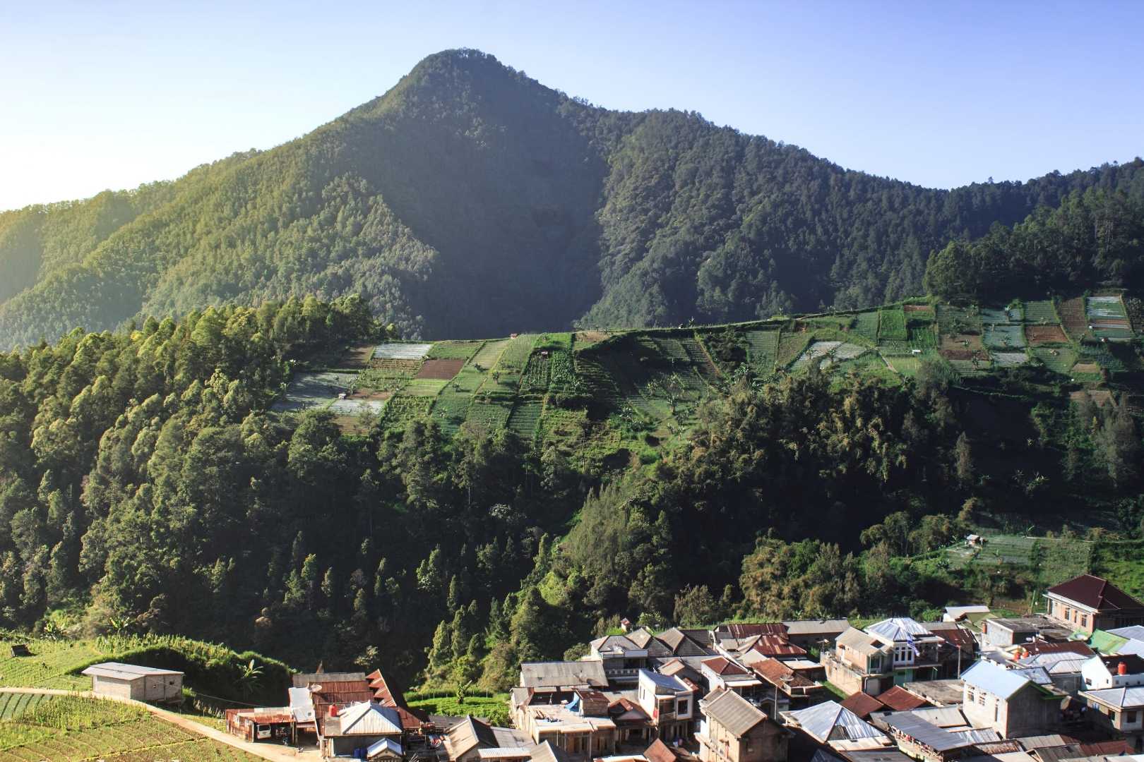 Wisata Wonomulyo